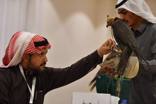 اللجنة المنظمة لمهرجان الملك عبدالعزيز للصقور تعلن انتهاء التسجيل لمسابقات الملواح واستمرار التسجيل في المزاين